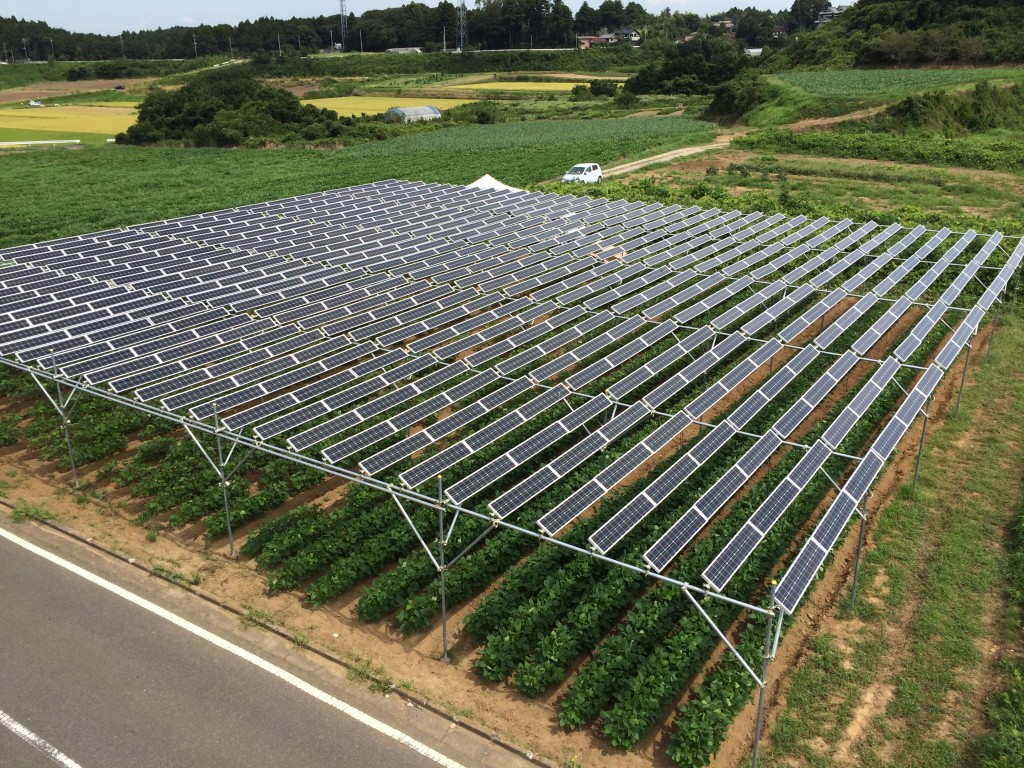 全国初の市民共同ソーラーシェアリング設備「匝瑳第一発電所Sun Agri」35kw。隙間広く空中にパネルがあることで温度上昇が抑えられ設備1ｋｗあたり1200ｋｗｈ/年の発電予想値となっている。